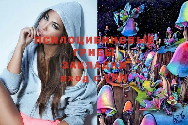 гидра Нязепетровск