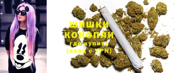 гидра Нязепетровск
