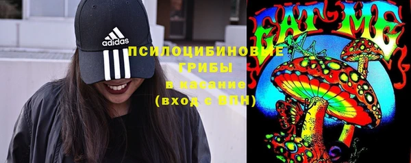 spice Нягань