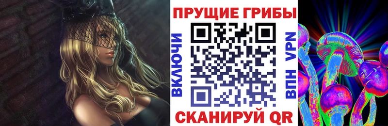 Купить закладки  Котельнич  Галлюциногенные грибы MAGIC MUSHROOMS 