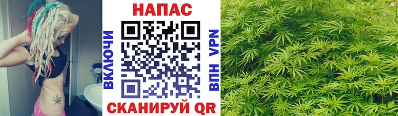 Конопля тримм  Купить закладки  Котельнич 